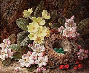 Apples Art Print - Apple Blossom, Primroses And Bird's Nest