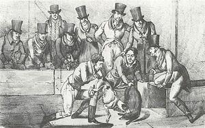 London Art Print - Badger Baiting, London, Circa 1824
