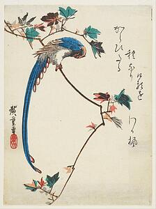  Art Print - Blue Magpie On Maple Branch