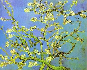 Branches Of Almond Tree In Bloom. Saint-Rémy - Art Print Art Print - Branches Of Almond Tree In Bloom. Saint-Rémy