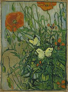 Poppy Art Print - Butterflies And Poppies