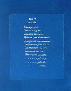 Art Print - Contents List