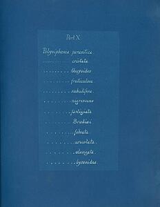 X Art Print - Contents List