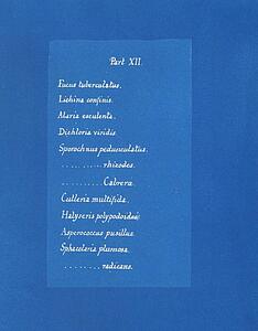 Contents List Art Print - Contents List