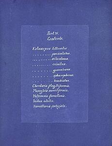 Art Print - Contents List