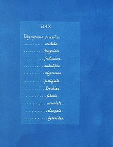 X Art Print - Contents List