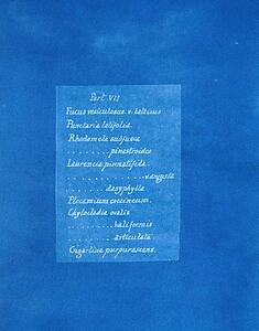 Art Print - Contents List