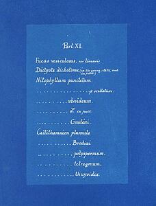 Art Print - Contents List