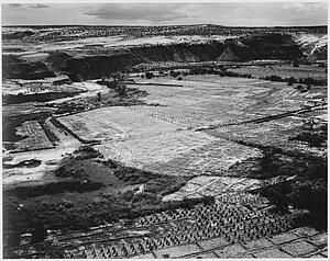 Corn Art Print - Corn Field, Indian Farm Near Tuba City, Arizona, In Rain, 1941.. Photographs Of National Parks And Monuments, Compiled 1941 - 1942, Documenting The Period Ca. 1933 - 1942.