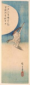 Moon Art Print - Cuckoo Flying Under A Full Moon