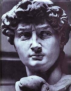 Art Print - David. Detail