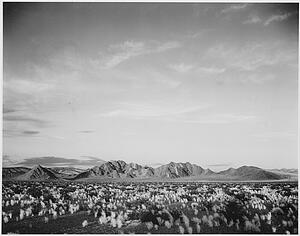 Death Valley National Monument Art Print - Distant View Of Mountains, Desert, Shrubs Highlighted In Foreground, "near Death Valley National Monument, " California. Photographs Of National Parks And Monuments, Compiled 1941 - 1942, Documenting The Period Ca. 1933 - 1942.