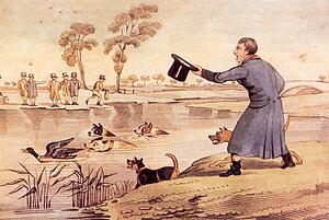 Duck Art Print - Duck Baiting