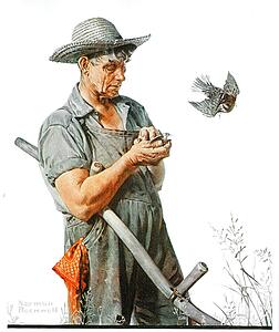 Farming Art Print - Farmer And Birds