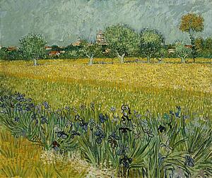 Fields Art Print - Field With Flowers Near Arles