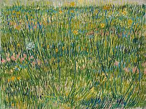 Grass Art Print - Grasgrond Patch Of Grass