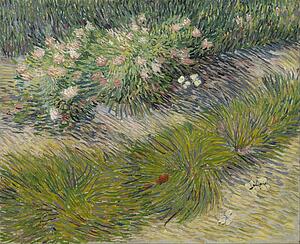 Butterfly Art Print - Grass And Butterflies