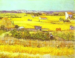 Art Print - Harvest Landscape