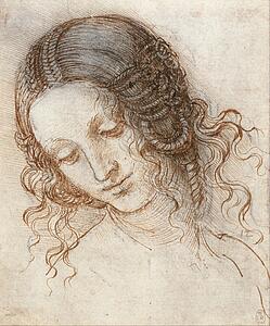 Leonardo Da Vinci Art Print - Head Of Leda