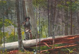 Hunting Art Print - Hunter In The Adirondacks
