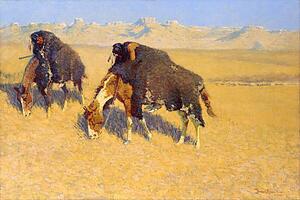 Buffalo Art Print - Indians Simulating Buffalo