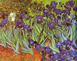 Art Print - Irises. Sait-Rémy