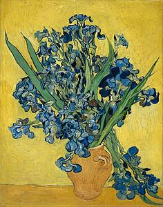 Van Gogh Art Print - Irises