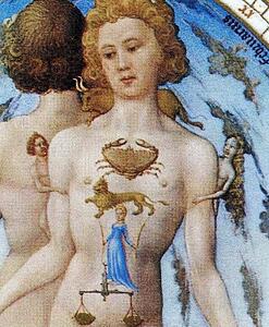 Les Trä�s Riches Heures Du Duc De Berry. Anatomical Zodiac Man. Detail - Art Print Art Print - Les Trä�s Riches Heures Du Duc De Berry. Anatomical Zodiac Man. Detail