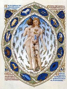 Les Trä�s Riches Heures Du Duc De Berry. Anatomical Zodiac Man - Art Print Art Print - Les Trä�s Riches Heures Du Duc De Berry. Anatomical Zodiac Man