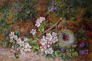 Bird Art Print - May Blossom And A Bird's Nest