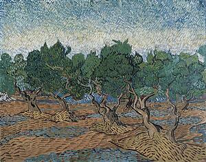 Olive Grove Art Print - Olive Grove