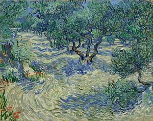 Orchard Art Print - Olive Orchard / Olive Grove