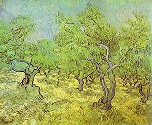 Olive Orchard. Saint-Rémy - Art Print Art Print - Olive Orchard. Saint-Rémy