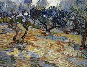 Olive Trees Art Print - Olive Trees