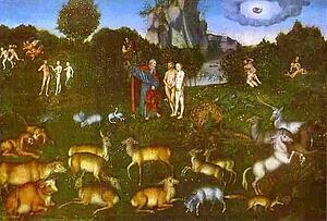 Art Print - Paradise