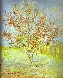 Art Print - Peach Tree In Bloom. (In Memory Of Mauve)