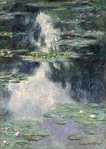 With Art Print - Pond With Water Lilies