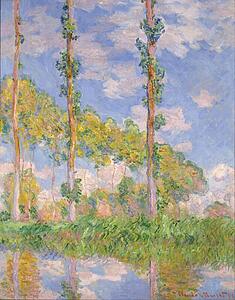 Sun Art Print - Poplars In The Sun