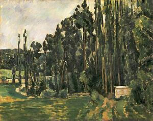 Poplars Art Print - Poplars