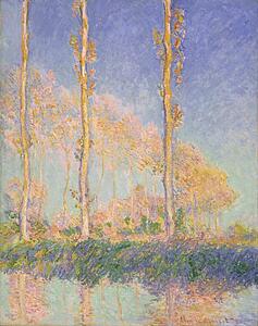 Poplars Art Print - Poplars