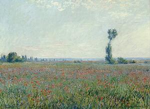 Poppy Art Print - Poppy Field