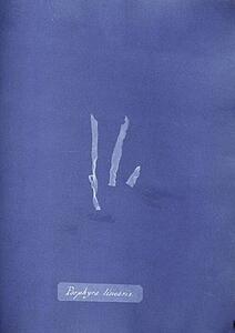 Porphyra Art Print - Porphyra Linearis