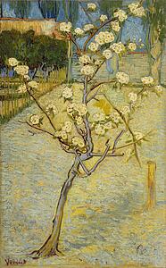 Pear Art Print - Small Pear Tree In Blossom