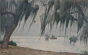 Florida Art Print - Spanish Moss, Tampa Bay, Florida