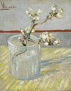 Flower Art Print - Sprig Of Flowering Almond In A Glass