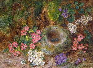 Bird Nesting Art Print - Still Life Of Blossoms And Bird's Nest