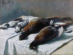 Pheasant Art Print - Still Life With Pheasants And Plovers