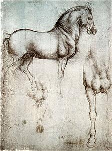 Studying Art Print - Study Of Horses