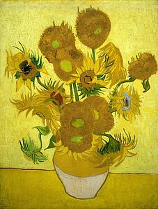Sunflower Art Print - Sunflowers