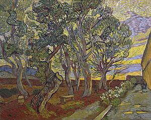 Hospital Art Print - The Garden Of Saint Paul's Hospital
